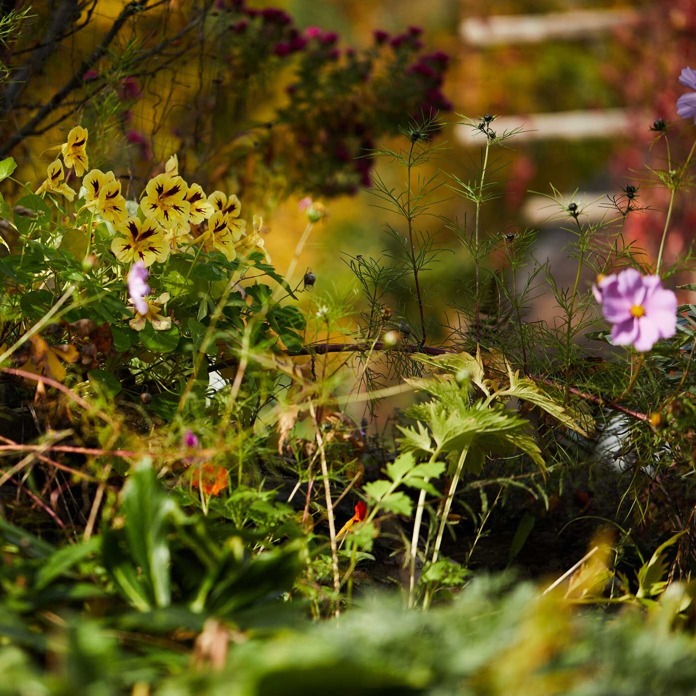 Grounding Retreats für Unternehmer*innen und Führungskräfte