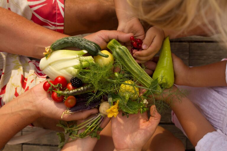 Kompaktworkshop & Individualberatung Selbstversorgung aus dem Bio-Garten