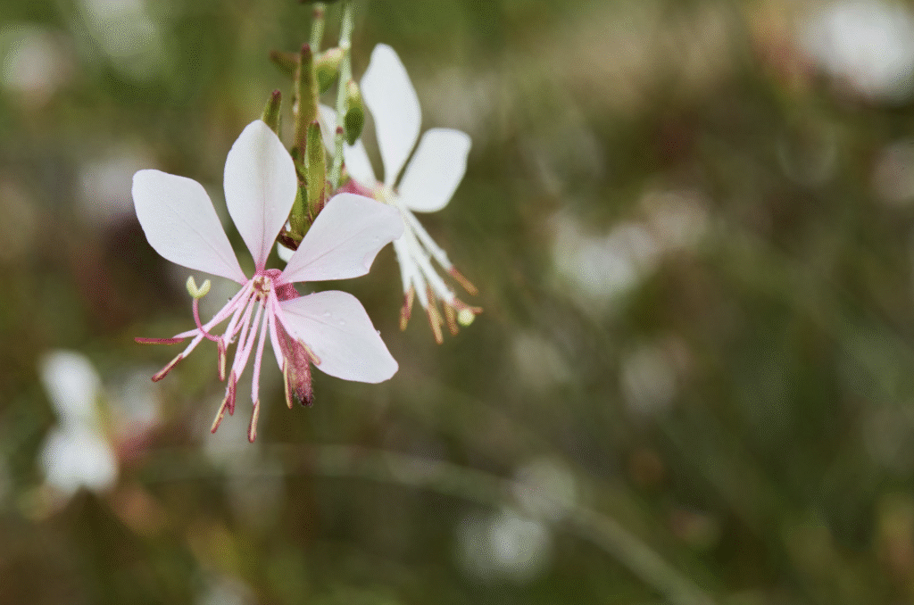 Grounding Retreat für weibliche Führungskräfte