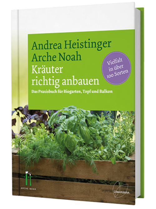 Kräuter richtig anbauen